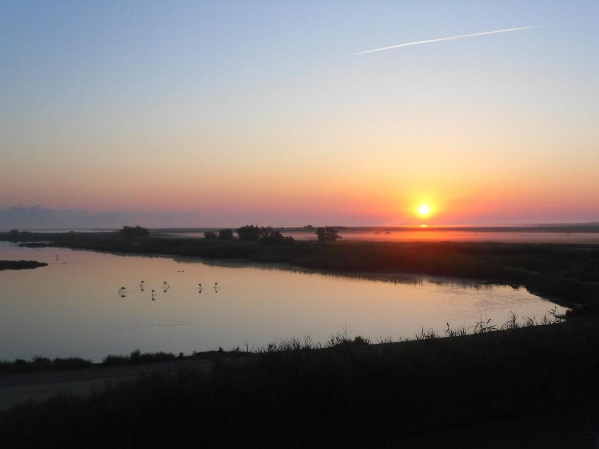 Chambre Les Flamants, Avec Vue Imprenable Sur Les Etangs, Les Oiseaux, La Nature, Petit Dejeuner Compris Saintes-Maries-de-la-Mer Exterior photo